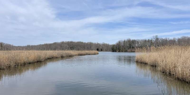 The featured photo for GCREW Weir