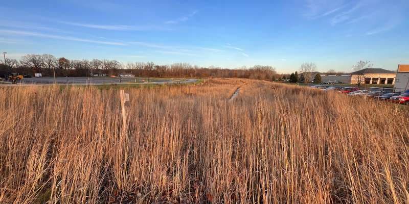 The featured photo for Prairie