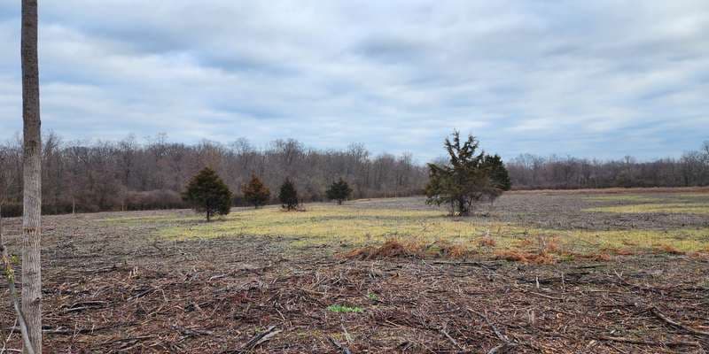 The featured photo for Line Hill Mound Prairie
