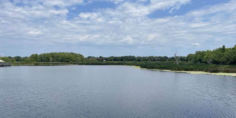 The featured photo for Green Cay Nature Center