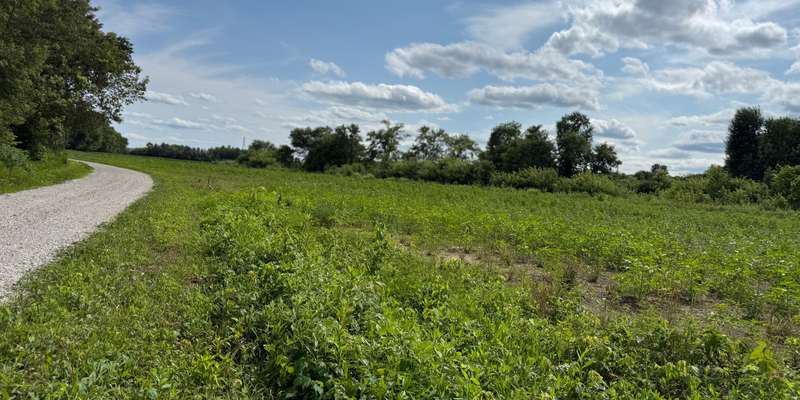 The featured photo for North Finger Field