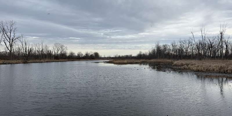 The featured photo for Riley Creek Overlook