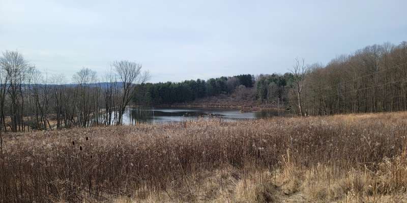 The featured photo for The Wilderness Center Pollinator Prairie and Lake