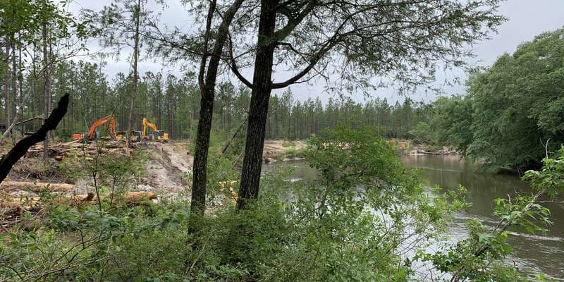 The featured photo for Yellow River East of Metts Bluff