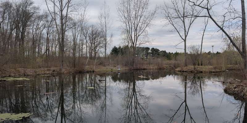 The featured photo for Turtle Pond - Lake Margaret