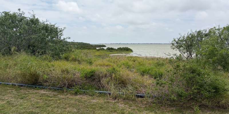 The featured photo for Oso Bay