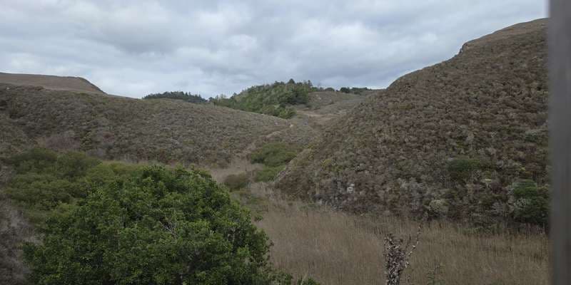 The featured photo for null