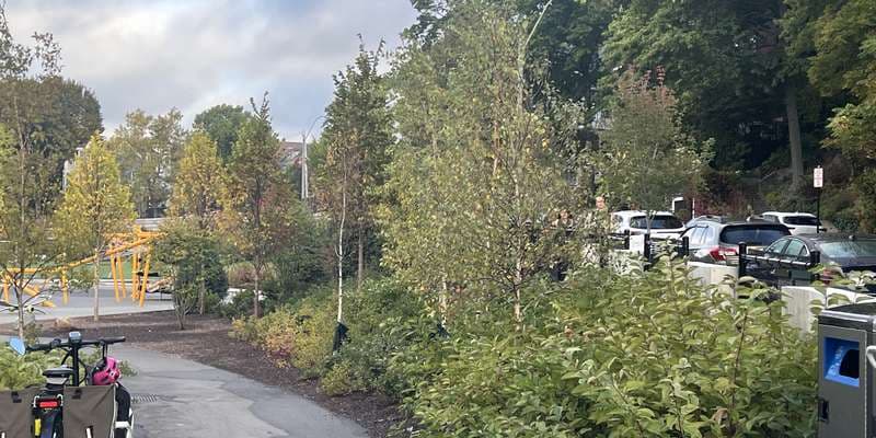 The featured photo for Driscoll School- Westbourne Entrance, Brookline