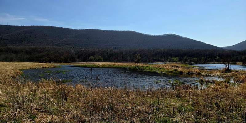 The featured photo for Robert Porter Allen Natural Area - Wetlands