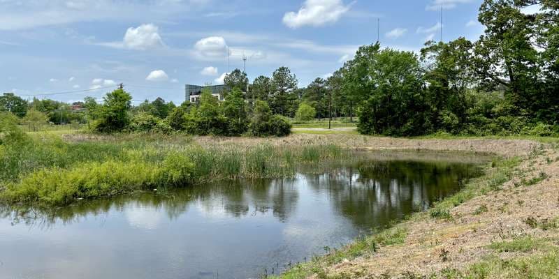 The featured photo for BZI-2