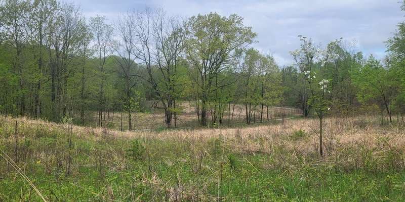 The featured photo for Wing Haven: Little Gentian Lake