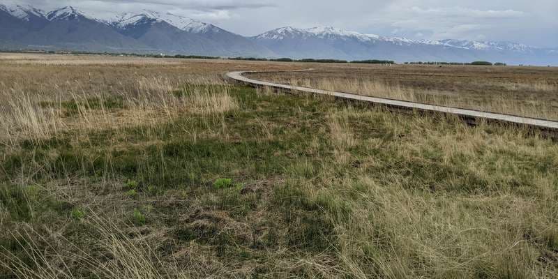 The featured photo for Great Salt Lake Shorelands Preserve Pavilion