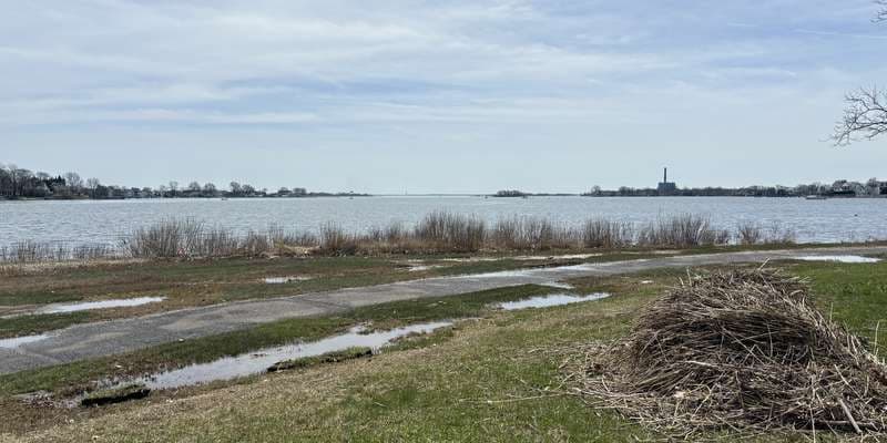 The featured photo for Veteran's Memorial Park