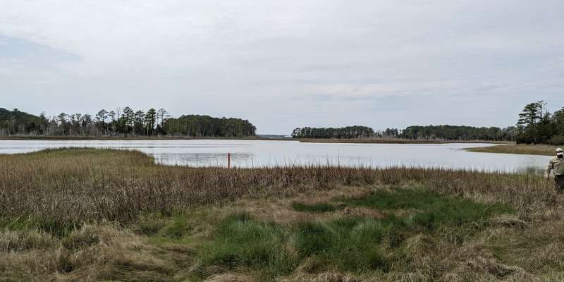 The featured photo for Machicomoco State Park