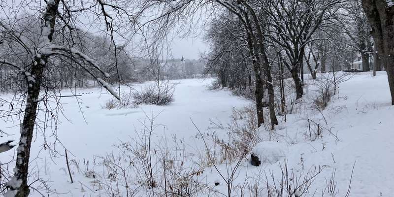 The featured photo for Cherryfield Riverwalk