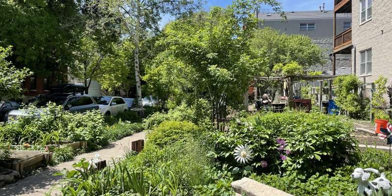 The featured photo for Greenhouse Garden