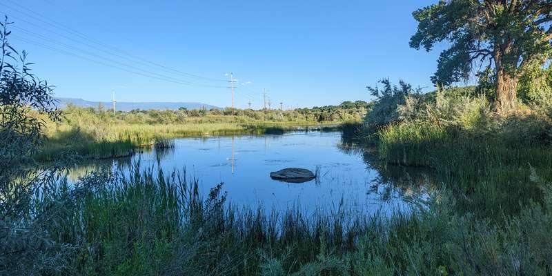 The featured photo for Osprey Pond