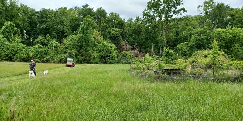 The featured photo for Toe Agricultural Field 