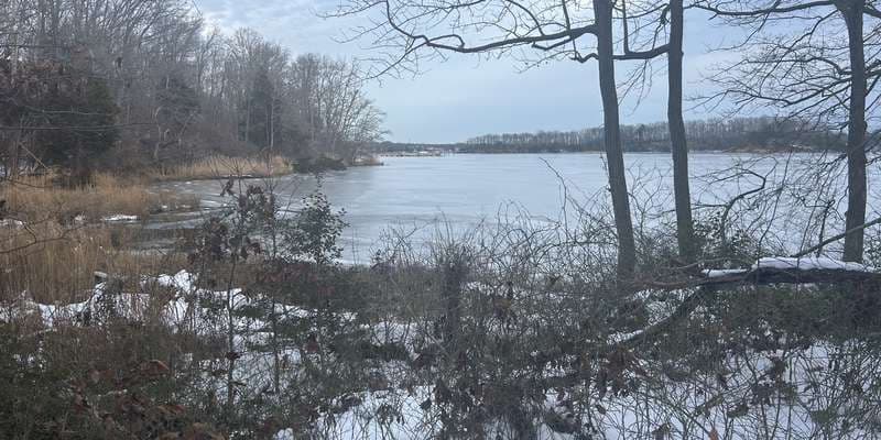 The featured photo for Marsh Overlook
