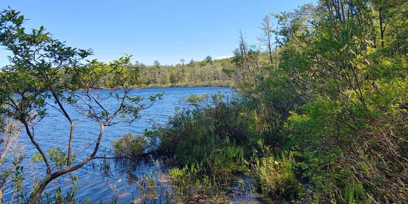 The featured photo for Lake Lacawac