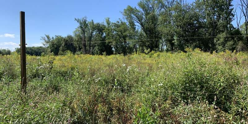 The featured photo for Fannie Stebbins Wildlife Refuge
