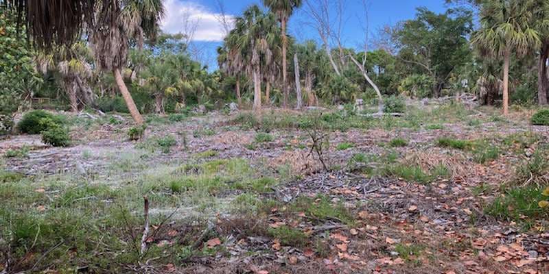 The featured photo for Deerfield Island Park Restoration Area