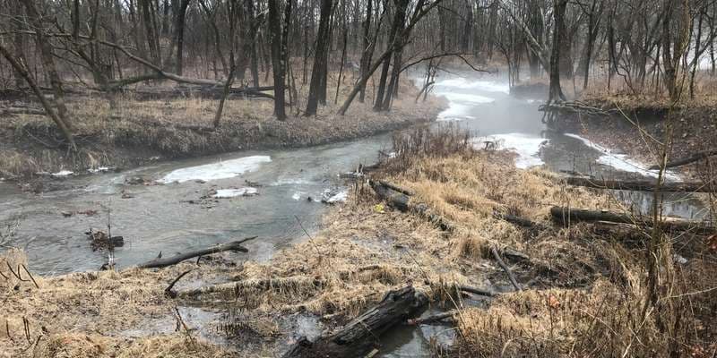 The featured photo for Carmel Creek