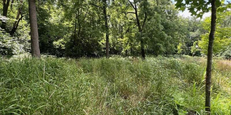 The featured photo for PMR-Chemin Trafalgar