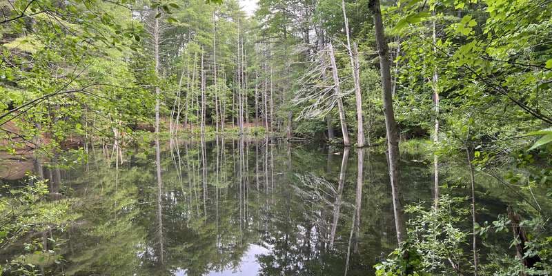 The featured photo for Ram Pond