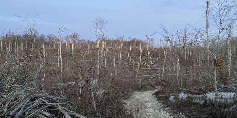 The featured photo for Wolf Cave Nature Preserve