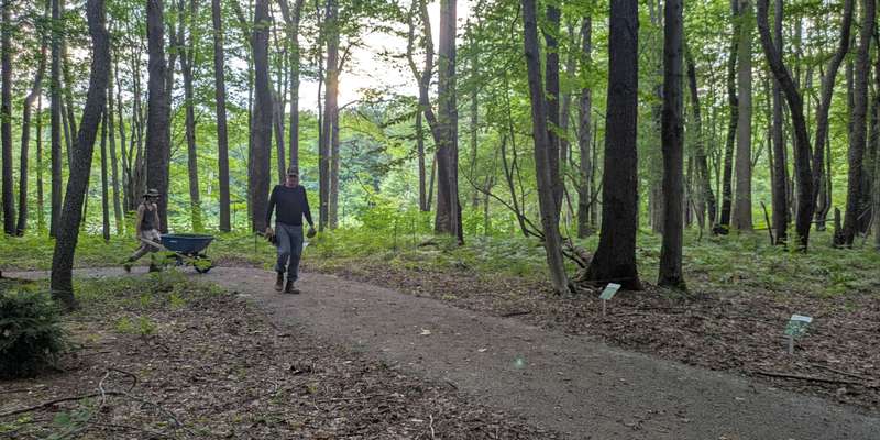 The featured photo for Woodland Garden- North