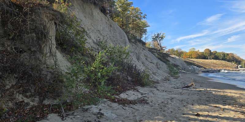 The featured photo for Jean & John Greene Nature Preserve