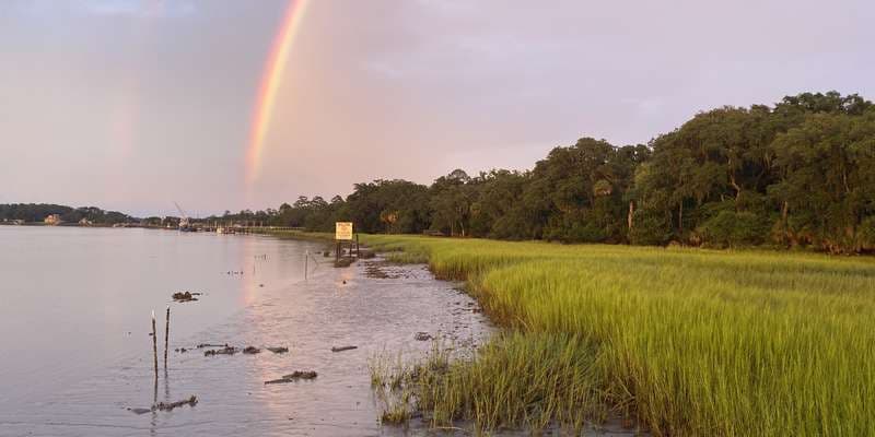 The featured photo for UGA Marine Education Center and Aquarium