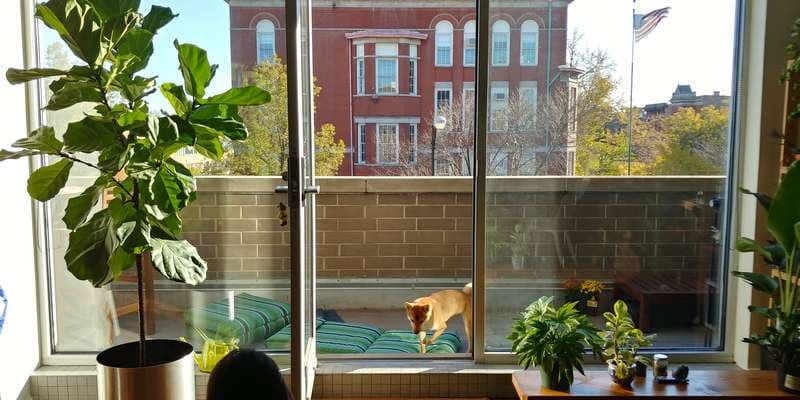 The featured photo for Seasons from a window