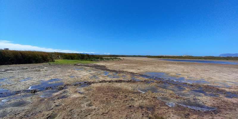 The featured photo for False Bay Nature Reserve:Rondevlei section 1
