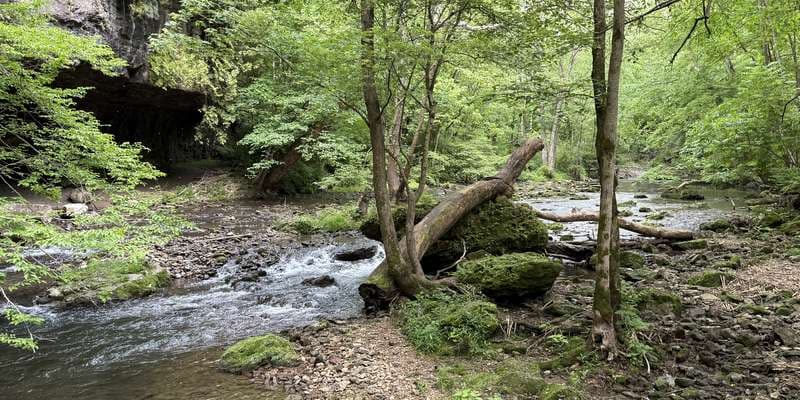 The featured photo for Massie Creek Large Overhang