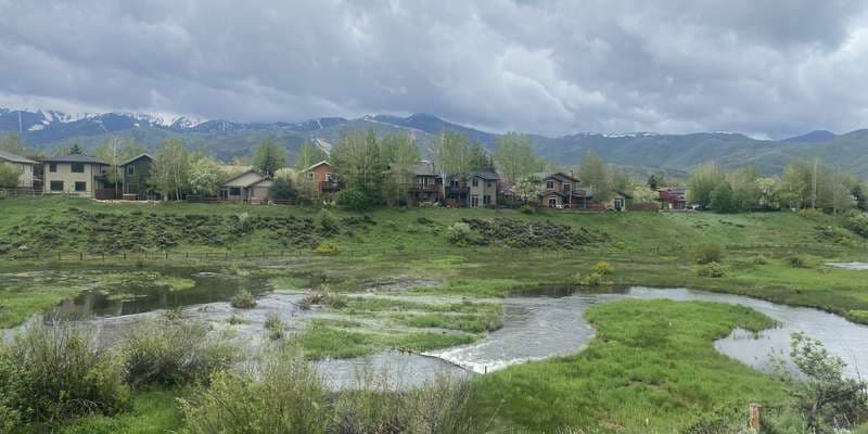 The featured photo for Swaner Preserve Beaver Dam Analogs