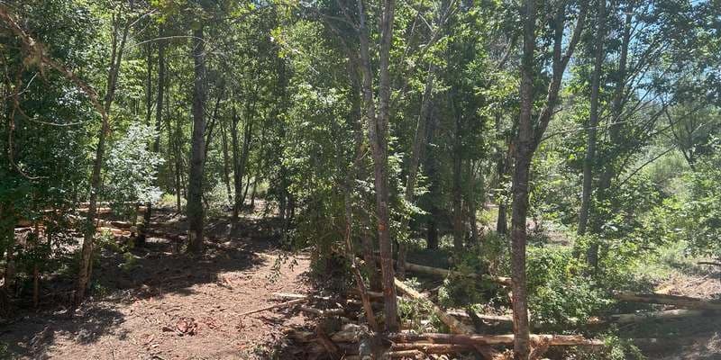 The featured photo for Elk Creek Restoration Site