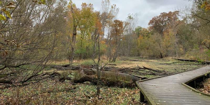 The featured photo for The Grove National Historic Landmark Interpretive Center Pond