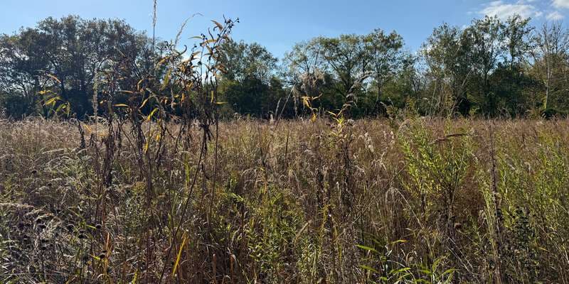 The featured photo for null