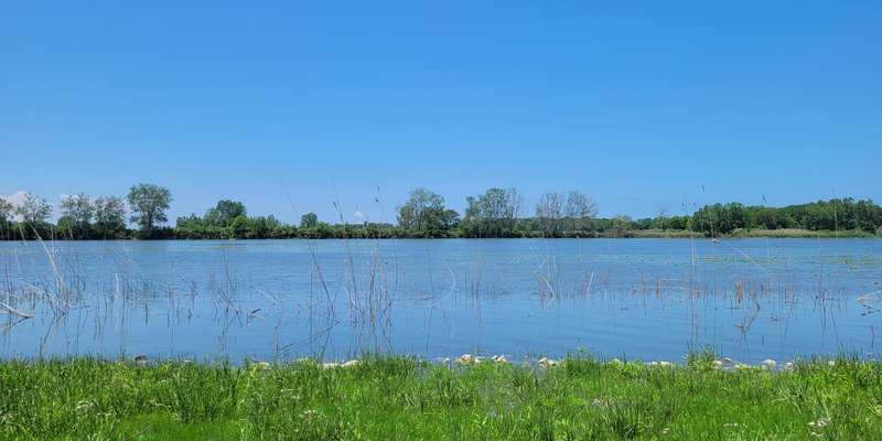 The featured photo for Meadowbrook Marsh
