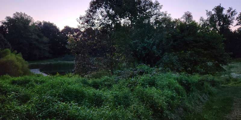 The featured photo for Pond