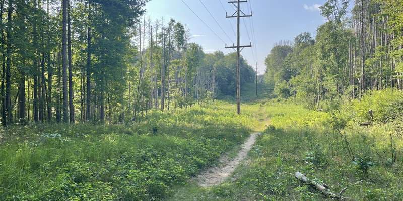 The featured photo for Powerline Line