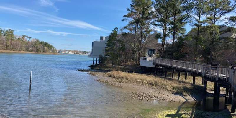 The featured photo for Owls Creek at Virginia Aquarium