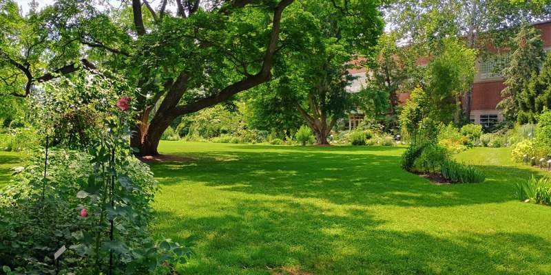 The featured photo for Beal Botanical Garden | Garden Overlook