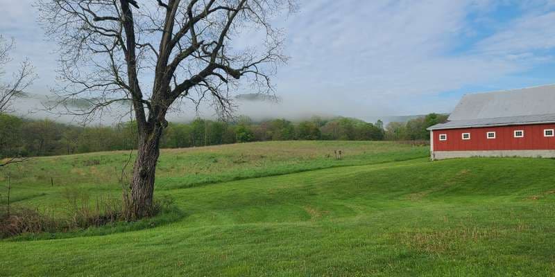 The featured photo for Sang Run State Park