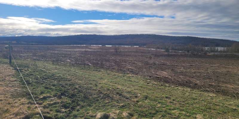 The featured photo for Stop 3 - Grasslands