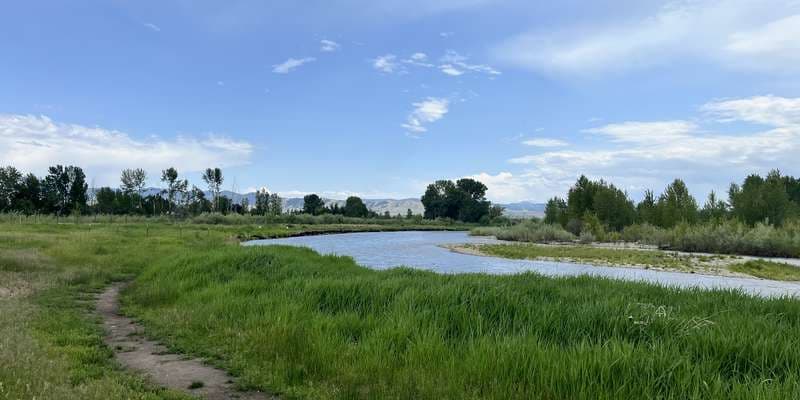 The featured photo for Roots Against Erosion at Skalkaho Bend Park