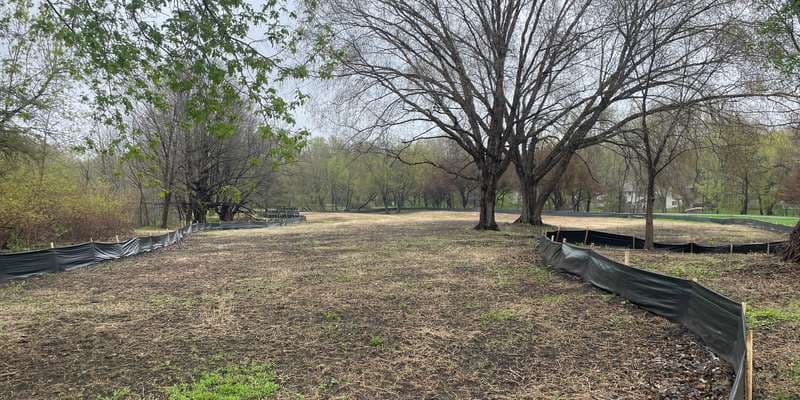 The featured photo for Green Tree Island Prairie Restoration 1
