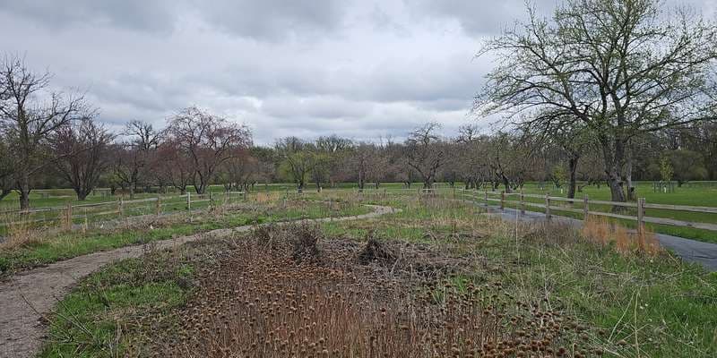 The featured photo for Orchard Glen